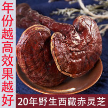 20Ұ`֥֦`֥`֥؛ݾݲҜ