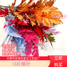 13Ƭ~ ¿X~ nʽc쾰~bŴ׷滨