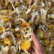 ��Ϯa��ֱ�N���l��؛�u�;� �u���S1��1������ă����r����|