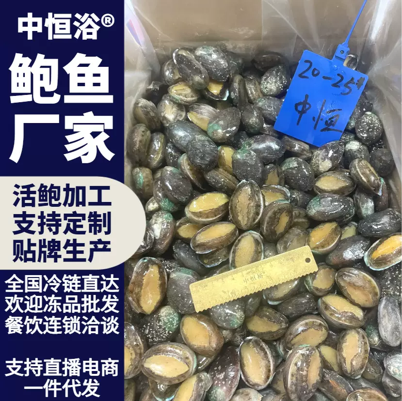 活冻鲍鱼20-25头酒店餐厅超市佛跳墙火锅海鲜食材批发冷冻鲍鱼