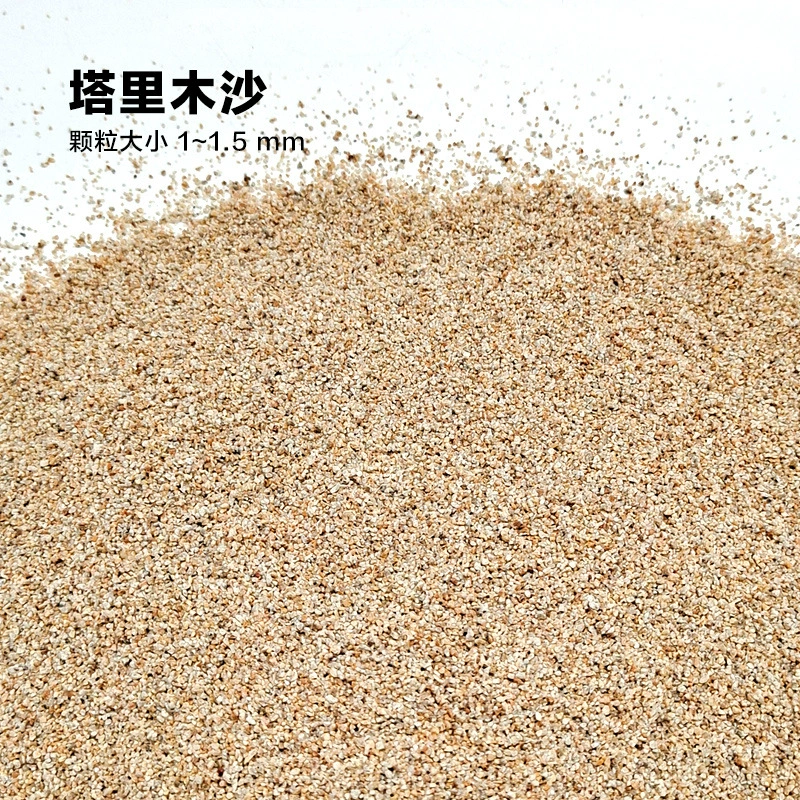 楸肩几搴曠爞閫犳櫙搴曟矙涔岄緹娌虫矙鍖栧