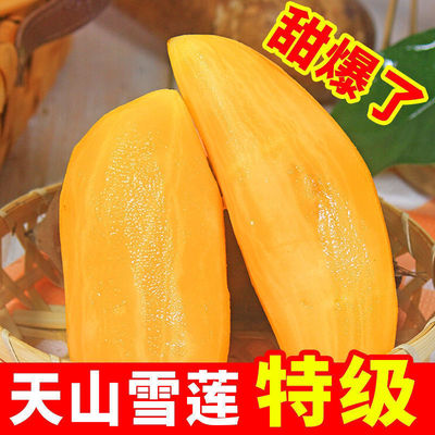 Yacon wholesale The opening activity Yunnan Tianshan fresh Yellow Heart fruit fresh Season fruit Cross border