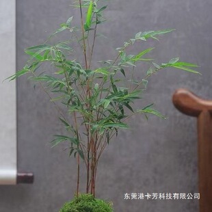 �^�������P�����ͺ��Gֲ��ؼt�^����U������k������������