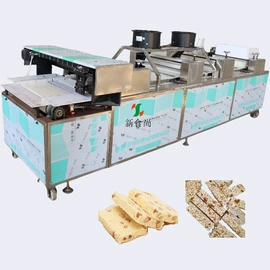 休闲食品加工;调味品加工;多功能包装机