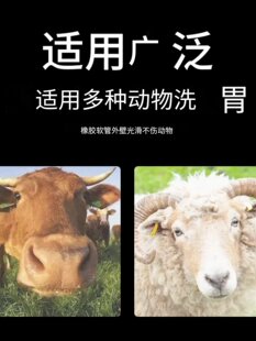 �F��ϴθ�����zϴθ�� Ͷș�ܹ�ș�� θ���ܰ�θ���iţ����ϴθ��