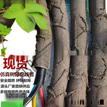 ���ϸɘ�֦늾����@��ľ���ٗl�bܷ�Ƥ������Ę��ٴ�����