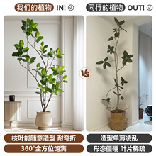 孟加拉榕仿真绿植高端轻奢大型室内装饰落地盆栽摆件假树仿生植物