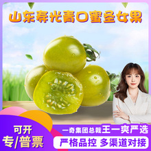 【严选】山东寿光青口蜜圣女果 代发3斤纯甜新鲜水果柿子青色番茄