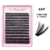 12 rows of 60D single box