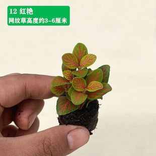 �W�y���҃�����ˮꑸ��쾰ֲ�����ֲ��~�݄�������Gֲ��