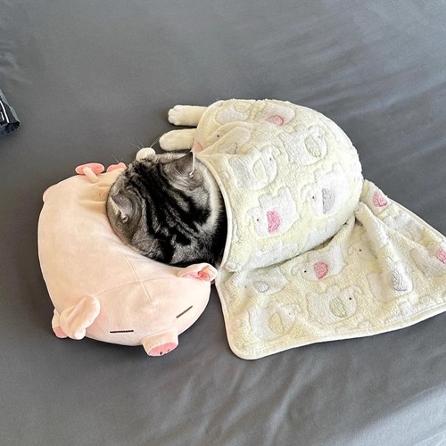 Yellow Small Elephant Cat Cover Cushion Air Conditioner Small Blanket Cute Pet-Specific Dog Cover Winter Warm Blanket