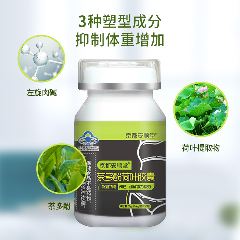 Health supplement tea polyphenol lotus leaf capsules relieve physical fatigue; lotus leaf extract, weight management, and L-carnitine capsules