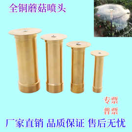 厂家直销加厚全铜蘑菇半球喷头喷泉喷头园林景庭院观喷泉喷头低水