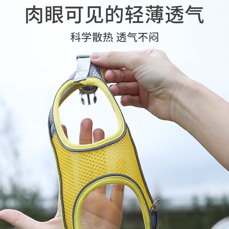 Correa de perro caminar cuerda perro pequeño Teddy Corgi oso cachorro gato mascota chaleco correa para el pecho