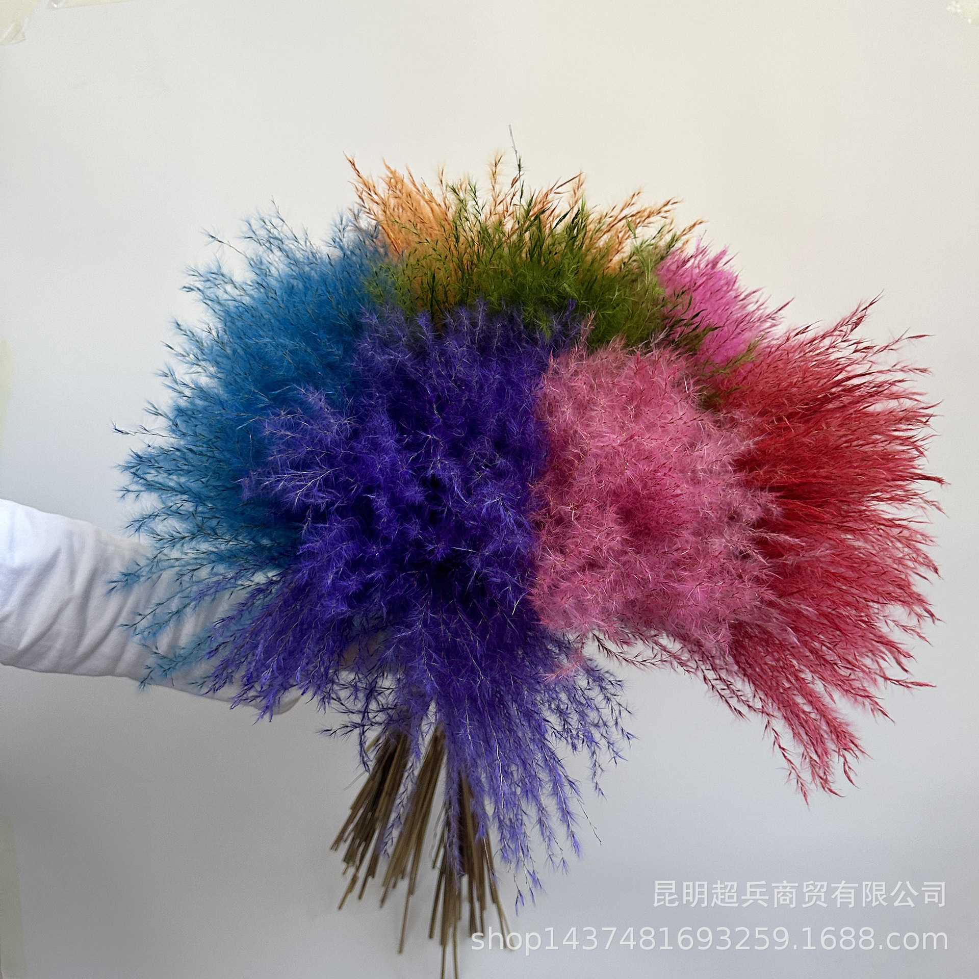 微信图片_20250310133759.jpg