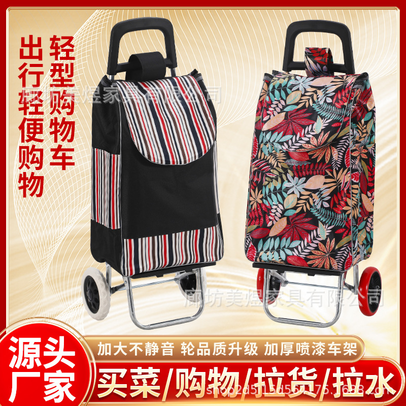 Carrito de compras plegable portátil para personas mayores para comprar verduras para el hogar pequeño carrito de varilla de tracción carro pequeño remolque