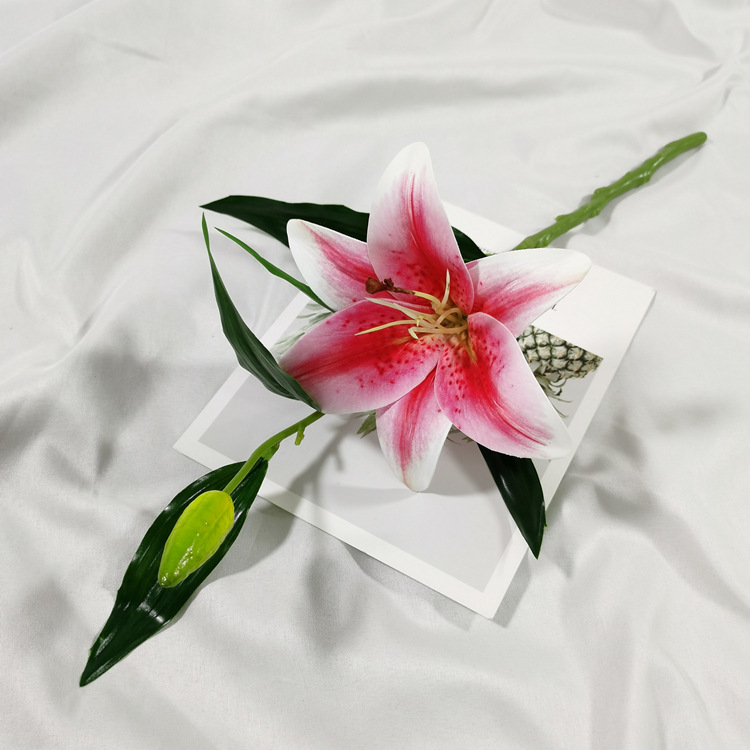 IMG_20220212_112137_副本