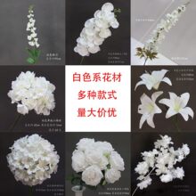 ��ɫ���Ļ�c���������Ļ�Y�õ���b��ٻ����T���廨��ˇ