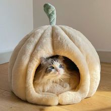 ɐϹ؈C؈ȮCС؈ñůļͨɹŰСCC