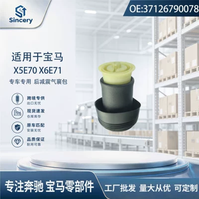 rear left/right shock absorber – Suspension and Shock Absorber Systems