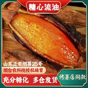 ����ɽ�|����25̖���Ŀ��������r�ع�5/9�﷬���t��ɳ��ɽ�����