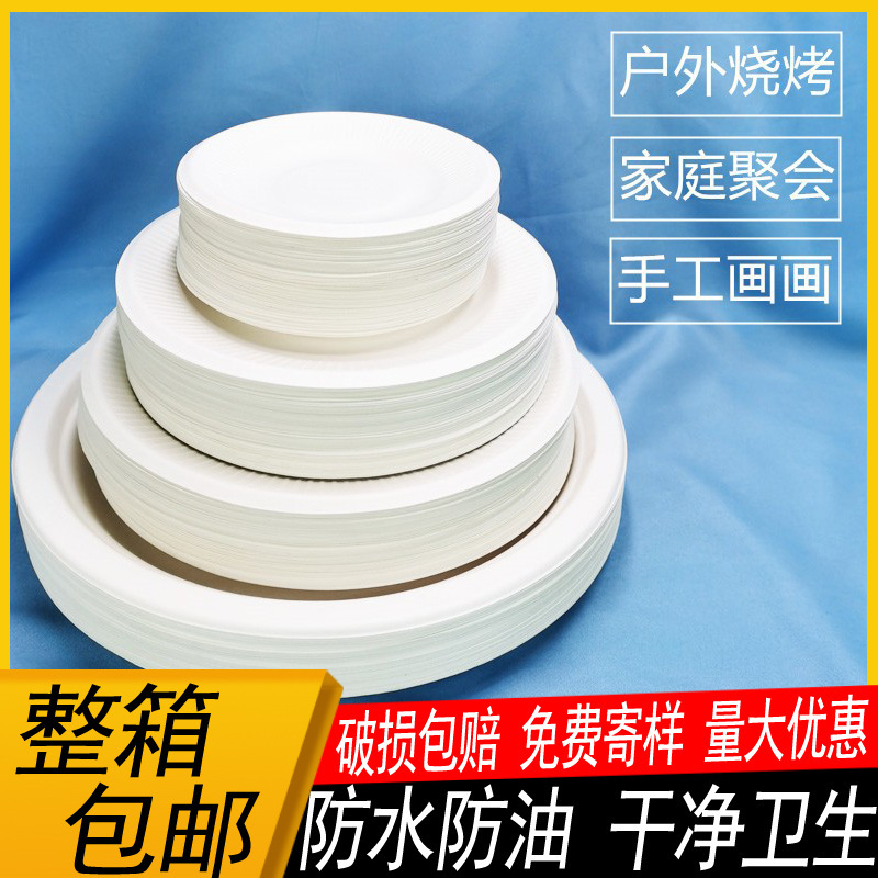 Disposable Plate Thickened Paper Plate Sugarcane Pulp Plate Cake Party Tableware Handmade diy Art Painting Plate