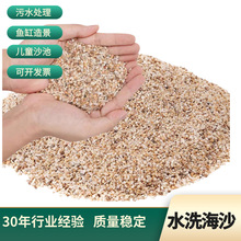 水厂专用海沙滤料 石英砂滤料 水洗海沙0.9-1.2mm干净 无杂质
