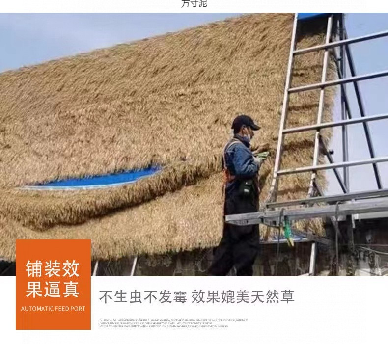 7285dda3-e5f1-4702-b92e-0a03f7d29e90.jpe