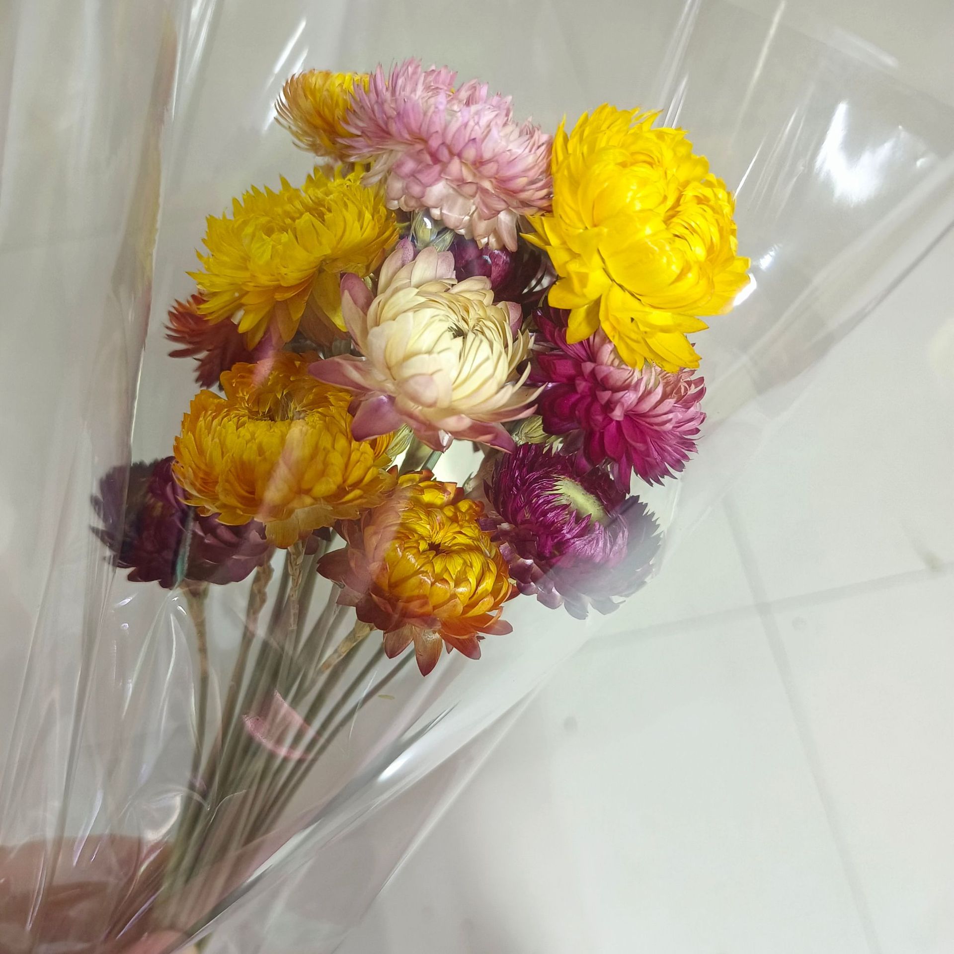 七彩菊麥稈菊雛菊北歐森系手工花材料批發自然乾花束插花材菠蘿菊