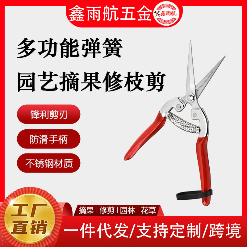 农业专用摘果剪/葡萄稀果剪果枝剪/园林修枝园艺剪 厂家现货批发