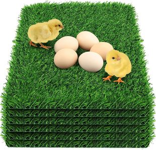Chicken Nest Box Liners  �u�C���r�|  �u�C��| ĸ�u�����|