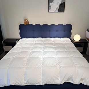 China-Made Tongcheng Lane 199.8cm Fluffy, Soft and Warm Goose down Duvet Winter Single and Double Quilt Core
