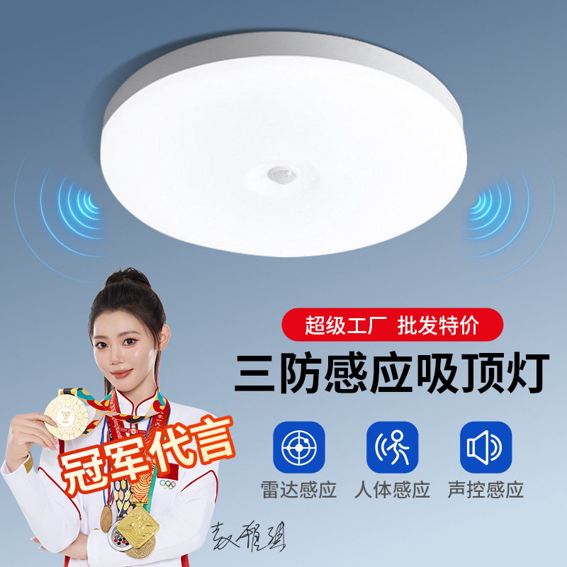 Three-Proof Radar Sensor Ceiling Light, Voice-Controlled Corridor, Hallway, Entrance, Garage Light, Insect-Proof, Dust-Proof, Factory Direct Supply Wholesale Three-Proof Radar Sensor Ceiling Light, Voice-Controlled Corridor, Hallway, Entrance, Garage Light, Insect-Proof, Dust-Proof, Factory Direct Supply Wholesale