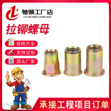 ���T��ĸ �������T��ĸ ƽ�^�Լy�T��ĸ�L����ĸM3-M12���\���P�