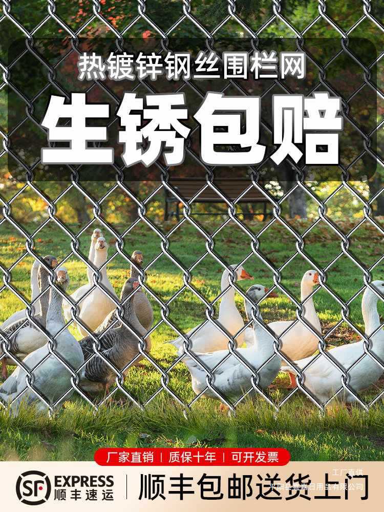 镀锌铁丝网防锈铁丝网勾花网养鸡围栏网菜园养殖网格护栏防护家用
