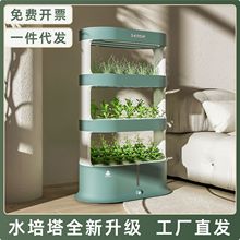 ˮ���߲˷Nֲ�C�҃ȶ��ӟo��������~�˷Nֲ�����ܷN�˙C�S��ֱ�N