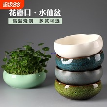 水仙花铜钱草花盆陶瓷大号无孔碗莲大口径水培容器桌面