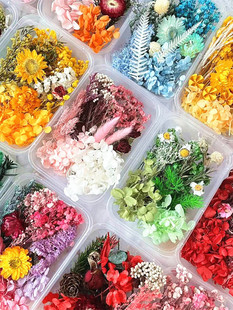 �������ɻ����ϰ�DIY����N���F�ȸ��� �F����ӻ�ˇ�n��h���İ�