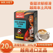 mr.vietԽMڴ10*10gbXܿ