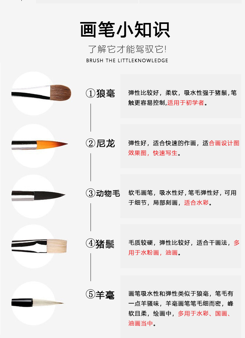 Cross-border Black Swan Set Watercolor Brushes Art Watercolor Brushes Nylon Soft Hair Round Head Drawing Digital Oil Painting Round Head Brushes