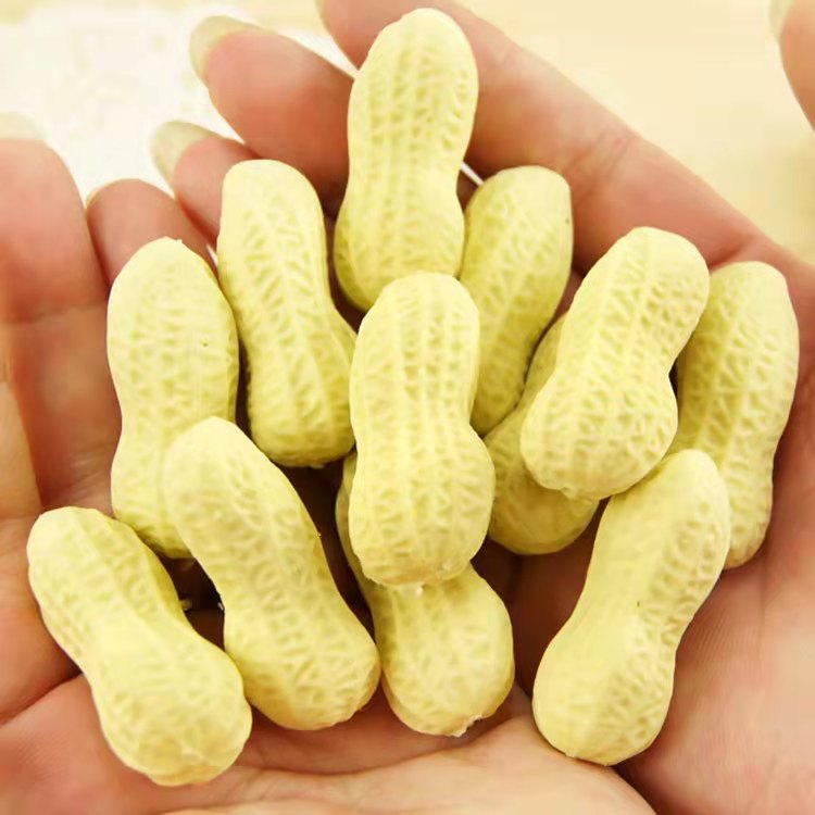 Children's art teaching eraser for students
