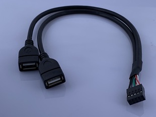 DuPont 9P Line USB Dual A Female Head to DuPont 9P Female Dual USB 2.0 A Female/DuPont 2x5pin Female