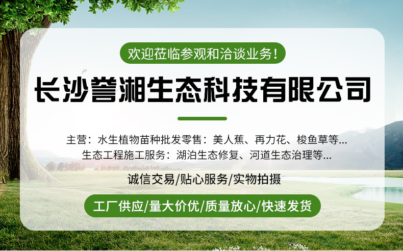 O1CN01POTMZf1gFnhxbaqg6_!!2210