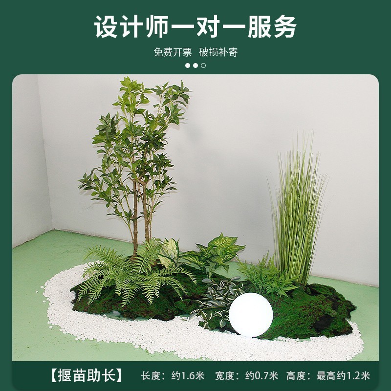묘목 프로모션