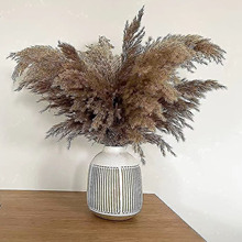 �W�t�J��ɻ�����JȔ��Ȕ�͏dinsֲ��[���滨�Ҿ��L����Ȼ����