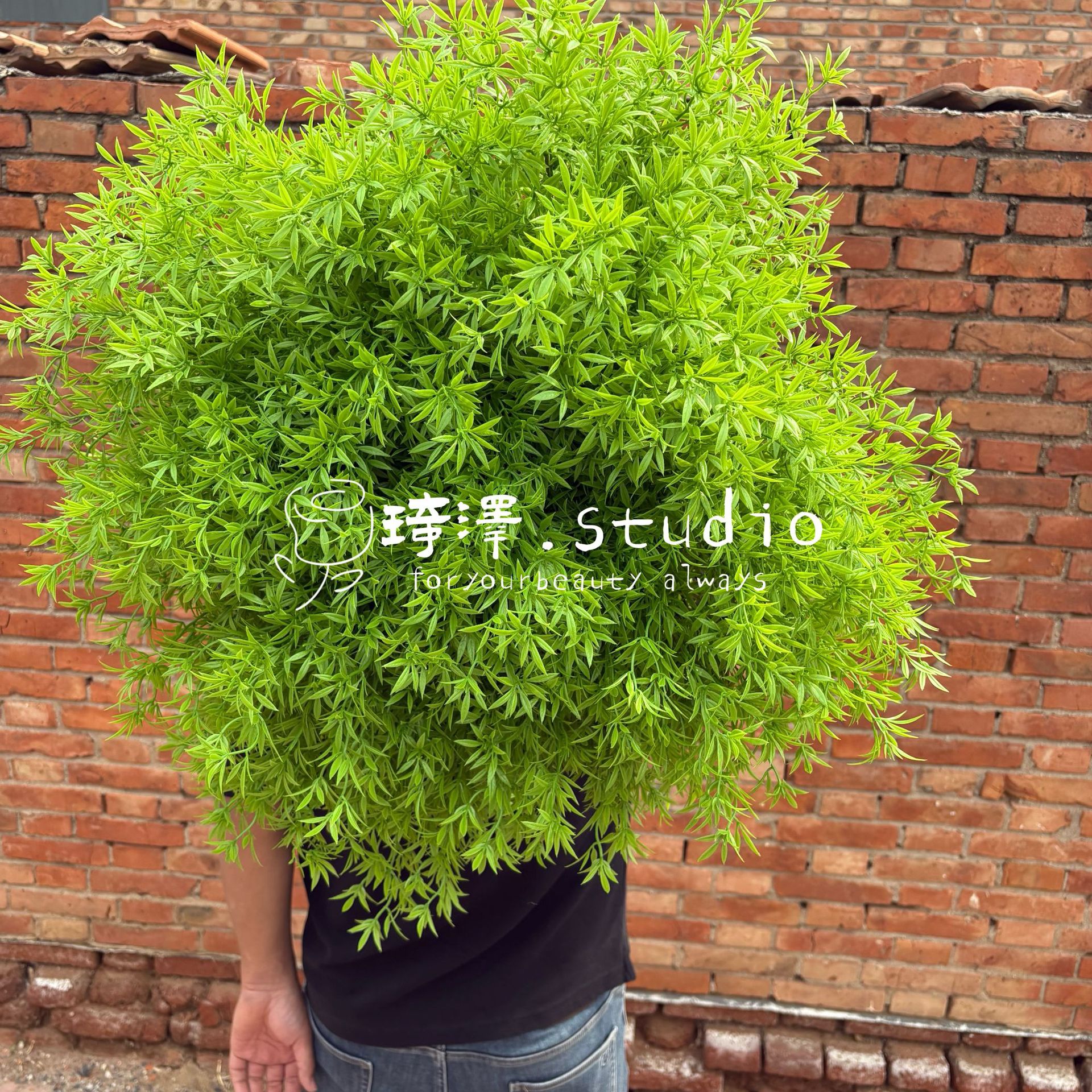 竹叶狐尾天门冬盆栽植物庭院花园柜台绿植四季常绿观叶花镜仿真花