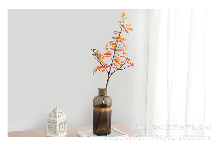 O1CN01o2sqia1Fz9GkN4Ddx_!!9481