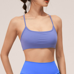Wuxi Guiyi Summer Yoga Sports Bralette Backless Yoga Top Bare-Fit Slimming Quick-Dry Multicolor Fitness Top