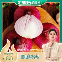 【烈儿宝贝直播间】新鲜紫皮洋葱农家自种洋葱红皮圆葱家庭蔬菜