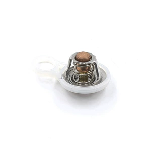 BMW Mini R50 R52 R53 Cooper 1.6L üçün Termostat 11537596787